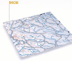 3d view of Bo Cai