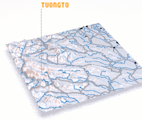 3d view of Tuông To