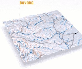 3d view of Bayong