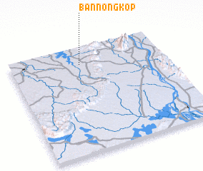 3d view of Ban Nong Kop