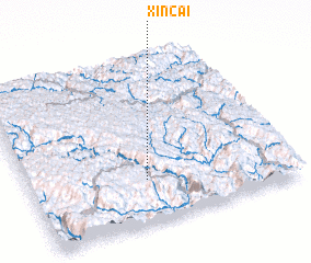 3d view of Xin Cai