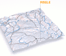 3d view of Pingle