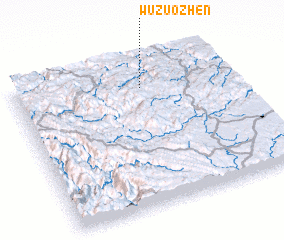 3d view of Wuzuozhen