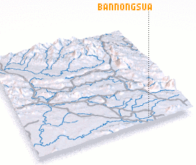 3d view of Ban Nongsua