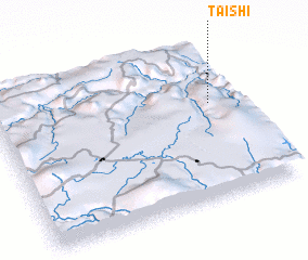 3d view of Taishi