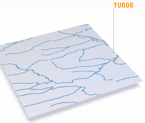 3d view of Tunor