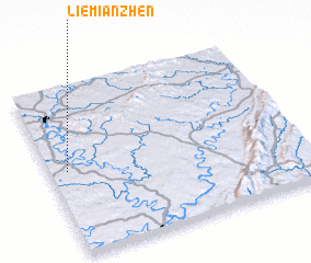 3d view of Liemianzhen