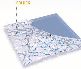 3d view of Co Lung