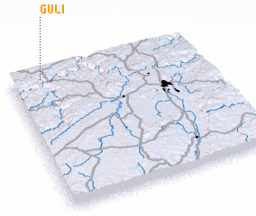 3d view of Guli