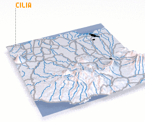 3d view of Cilia