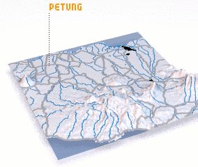 3d view of Petung