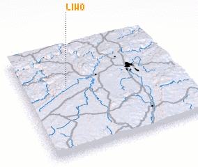 3d view of Liwo