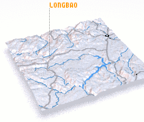 3d view of Longbao