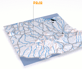 3d view of Paja