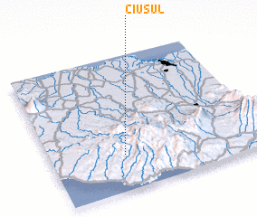 3d view of Ciusul
