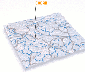 3d view of Co Cam