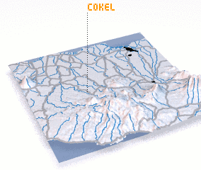 3d view of Cokel