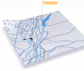 3d view of Tonggui