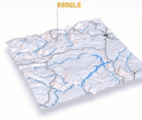 3d view of Rongle