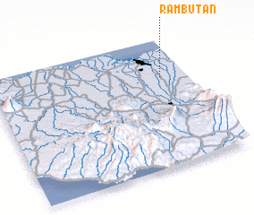 3d view of Rambutan