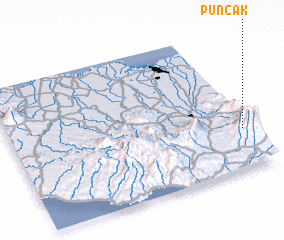 3d view of Puncak