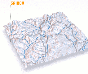 3d view of Saikou