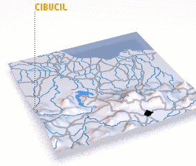 3d view of Cibucil