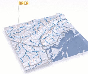 3d view of Na Ca