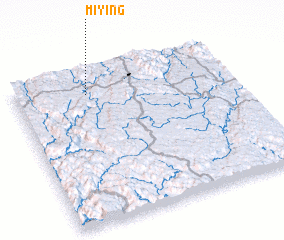 3d view of Miying