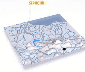 3d view of Sipucuk