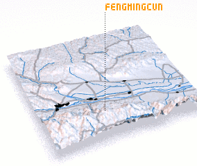 3d view of Fengmingcun