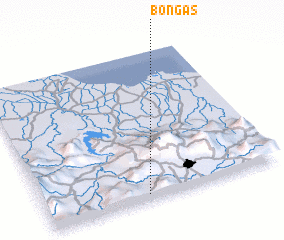 3d view of Bongas