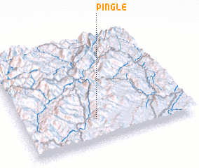 3d view of Pingle