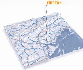 3d view of Thin Tam