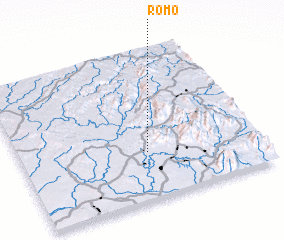 3d view of Romo