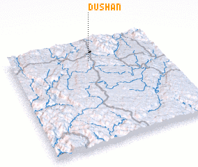 3d view of Dushan