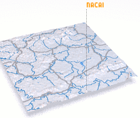 3d view of Nacai