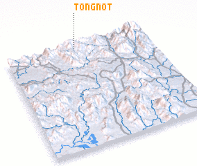 3d view of Tong Not