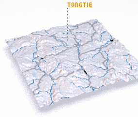 3d view of Tongtie
