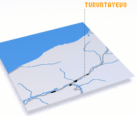 3d view of Turuntayevo