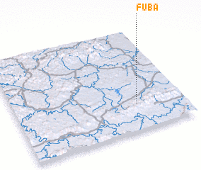 3d view of Fuba