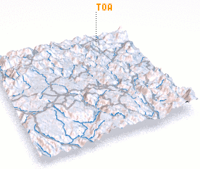 3d view of Toă