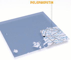 3d view of Pelepak Putih