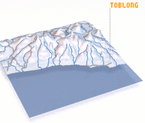 3d view of Toblong