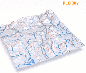 3d view of Plei Boy