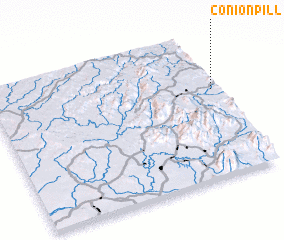 3d view of Conion Pill
