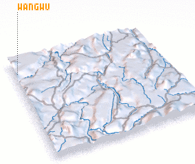 3d view of Wangwu