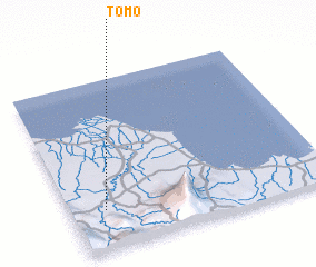 3d view of Tomo