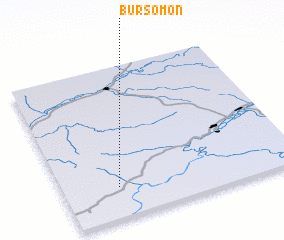 3d view of Bursomon