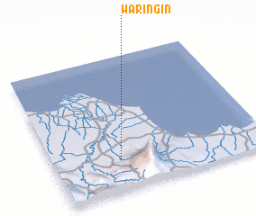 3d view of Waringin